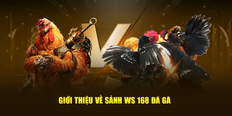 Chinh Phục Đá Gà WS168 7Ball Ngay Để Rinh Thưởng Hấp Dẫn