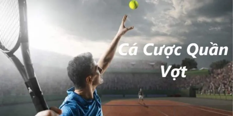Chinh Phục Cá Cược Quần Vợt 7Ball Để Thắng Lớn Mỗi Trận